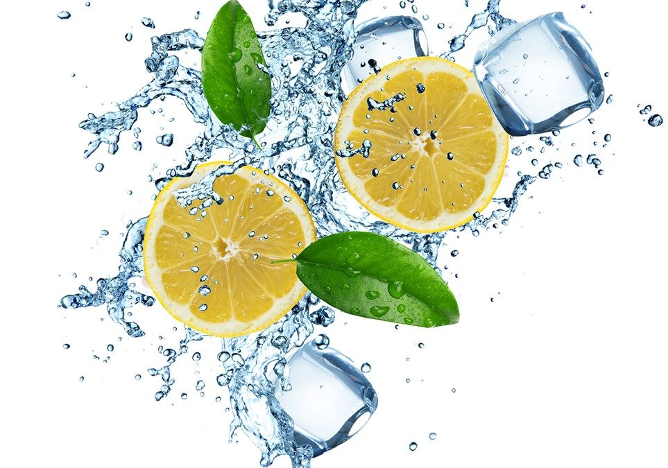 LemonTree - Symbolbild Zitronen