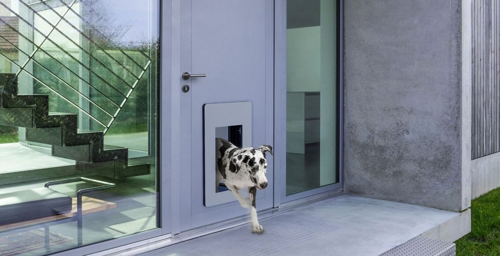 LieberLieber Software: Next-generation doors for cats and dogs