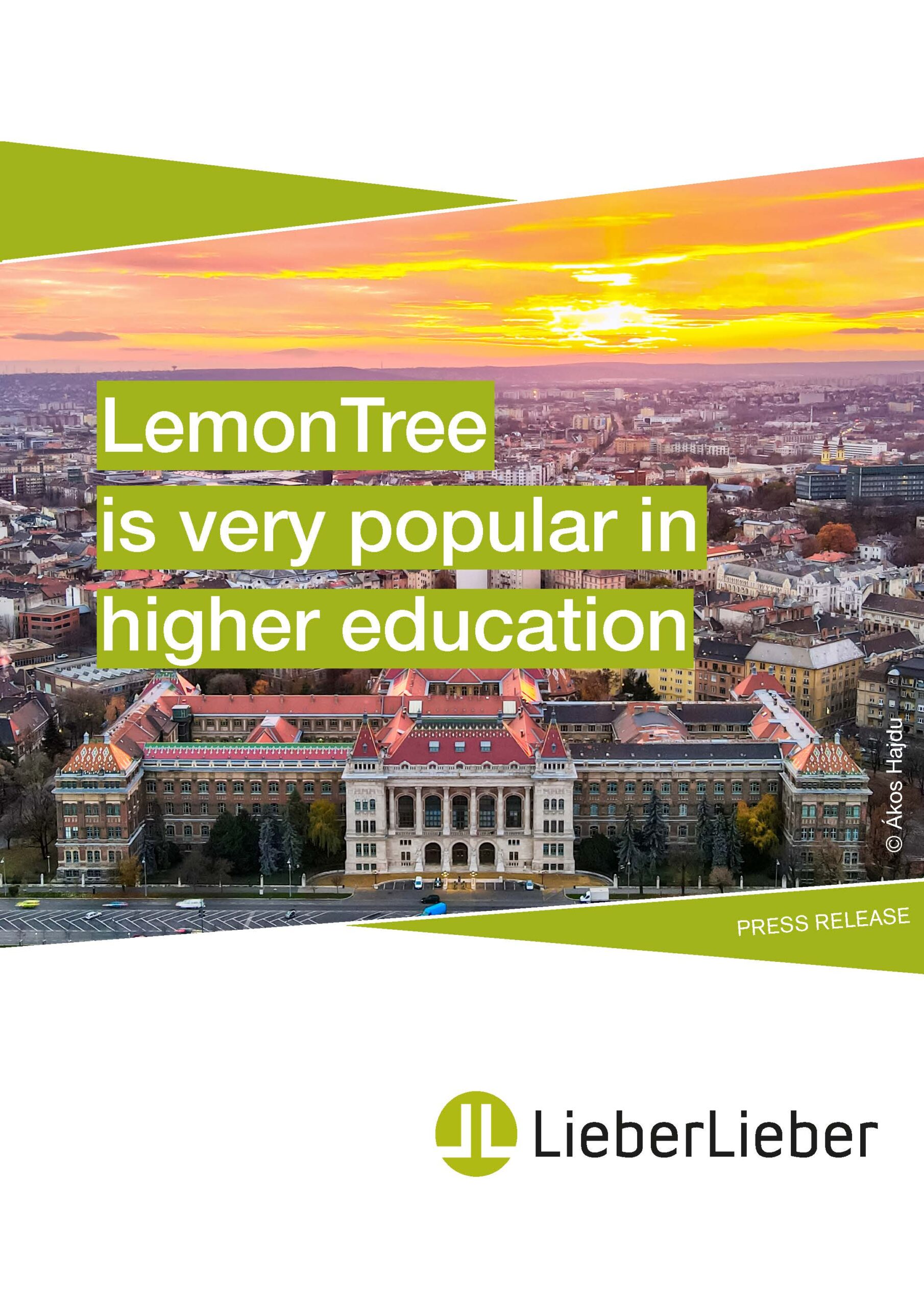 Cover Success Story Lemontree