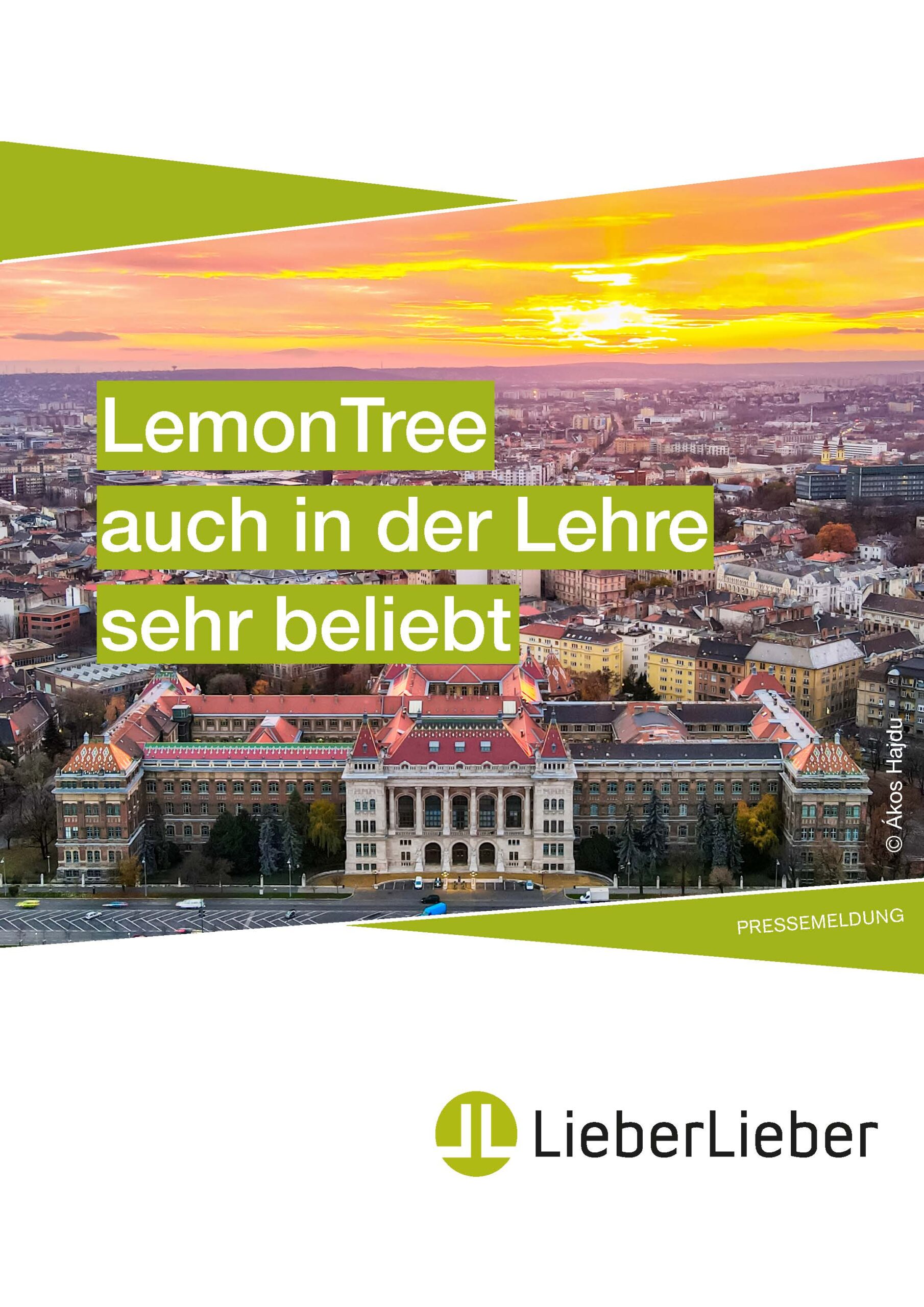Cover Success Story Lemontree